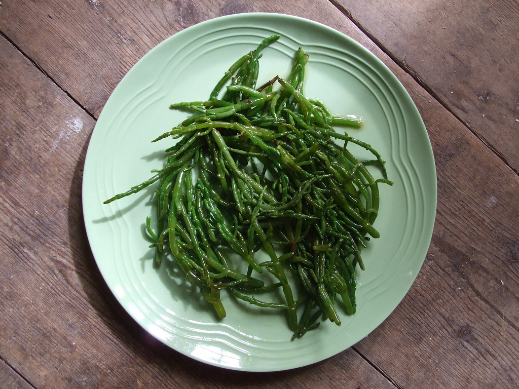 It’s Samphire Season!