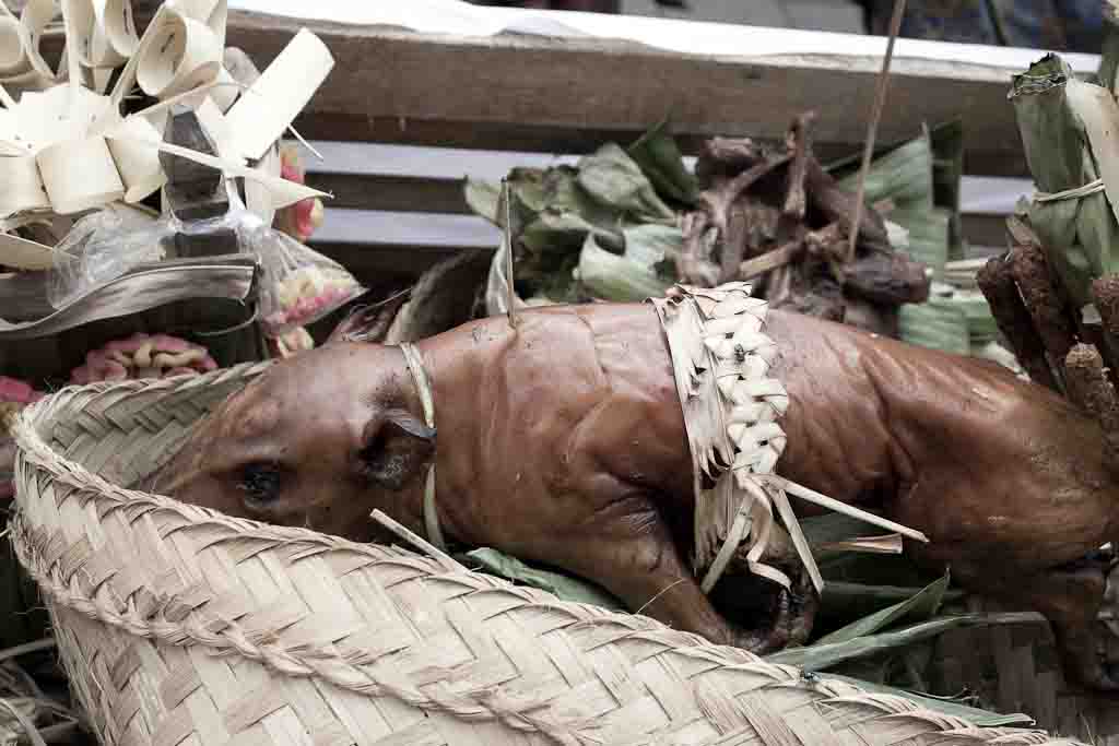 Babi Guling – Balinese Sucking Pig