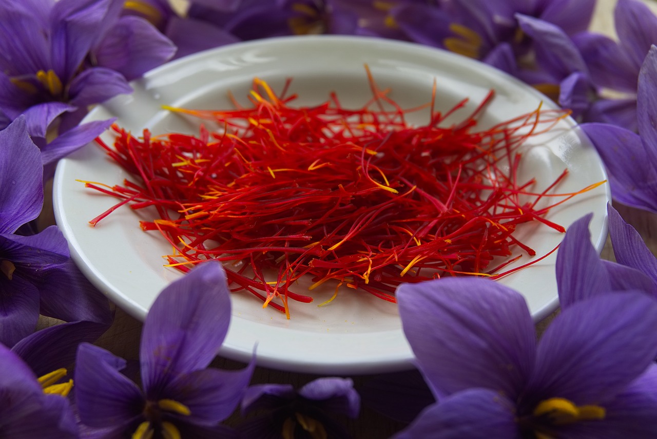 Saffron filaments amid saffron crocus.