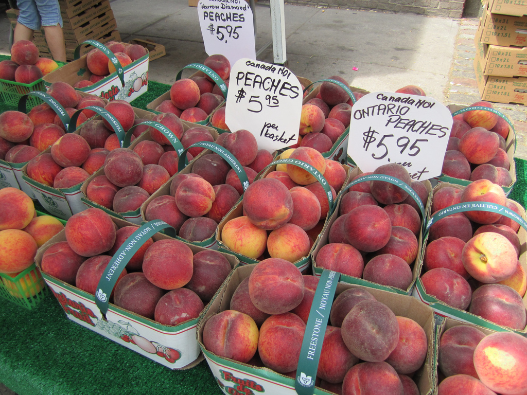 St Lawrence Market, a Foodie Mecca In…. Toronto?!