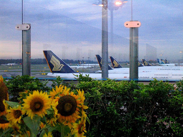 11 Reasons Changi Airport Rocks