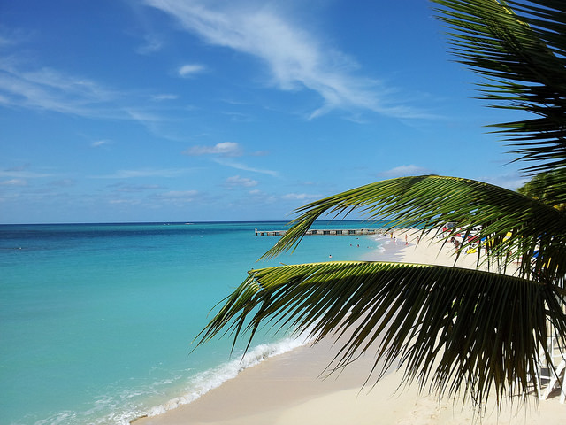 Palm and white sands in Montego Bay, Jamaica.