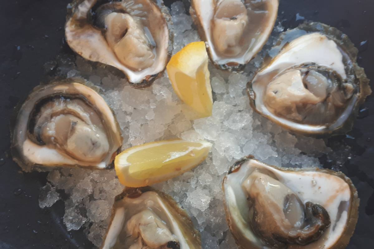 Game of Stones: Dubrovnik’s Mali Ston Oysters